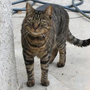 C'est moi, Kaliluz !